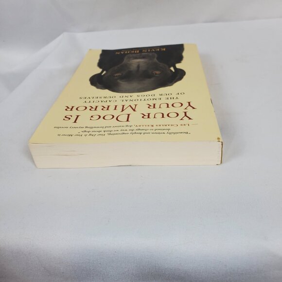 Your Dog is Your Mirror By Kevin Behan Paperback Book - Picture 4 of 9